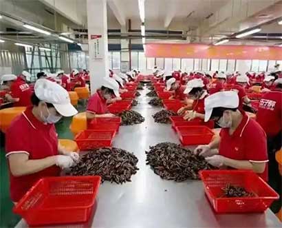 我們做什么